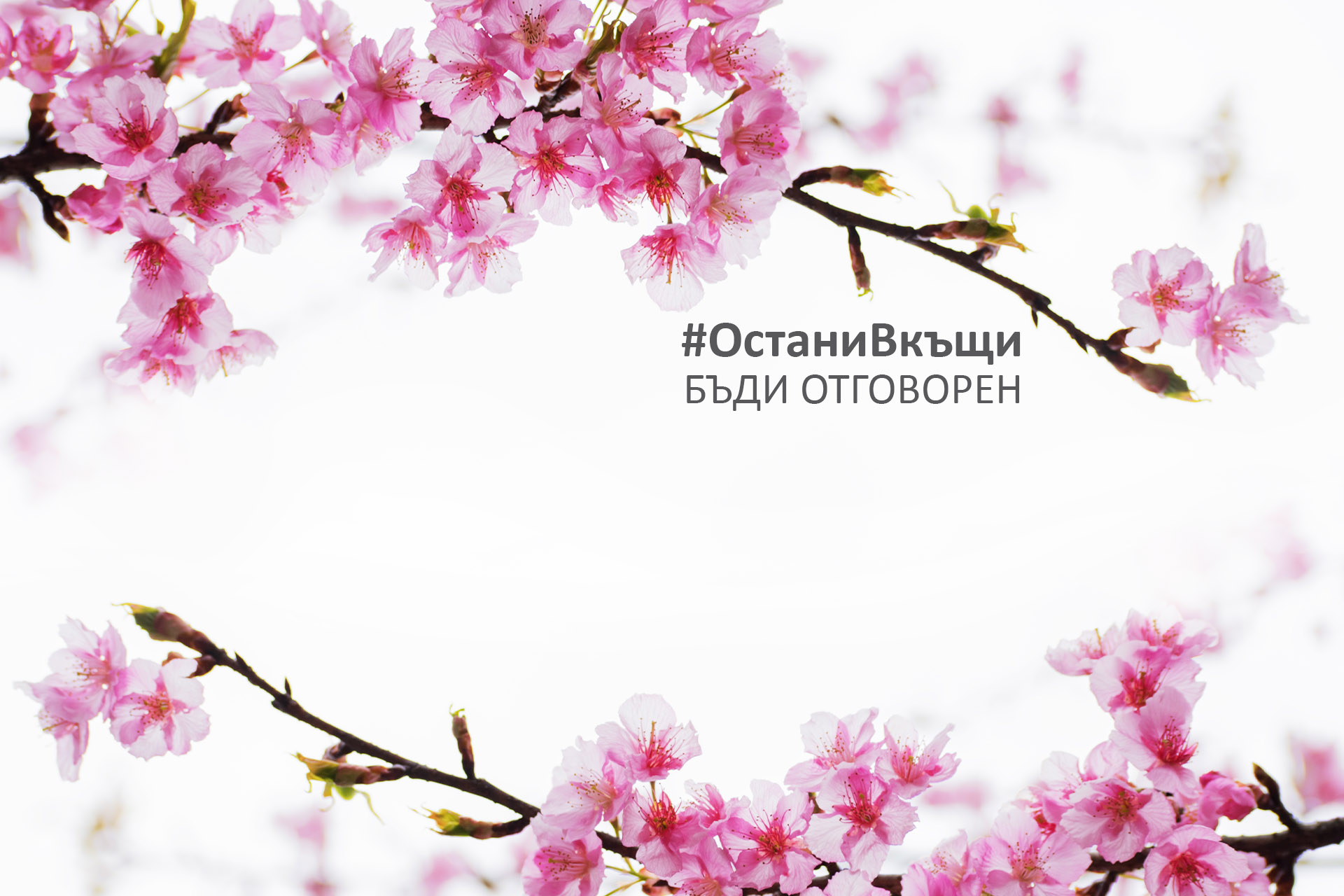 Продукти и услуги за бизнес клиенти - Токуда Банк